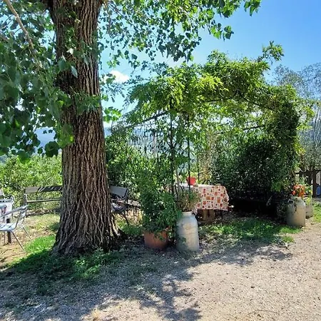 La Dei Cavalieri